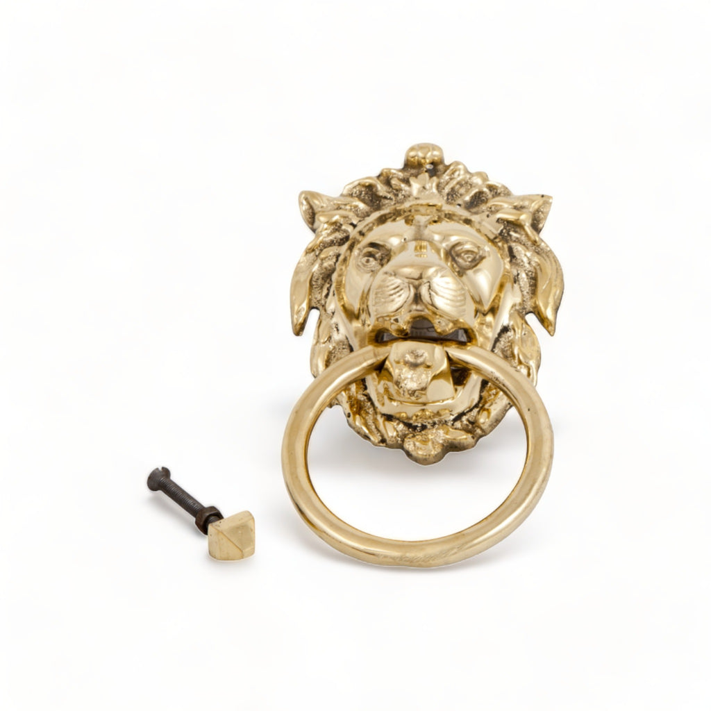 Lion's Head Knocker