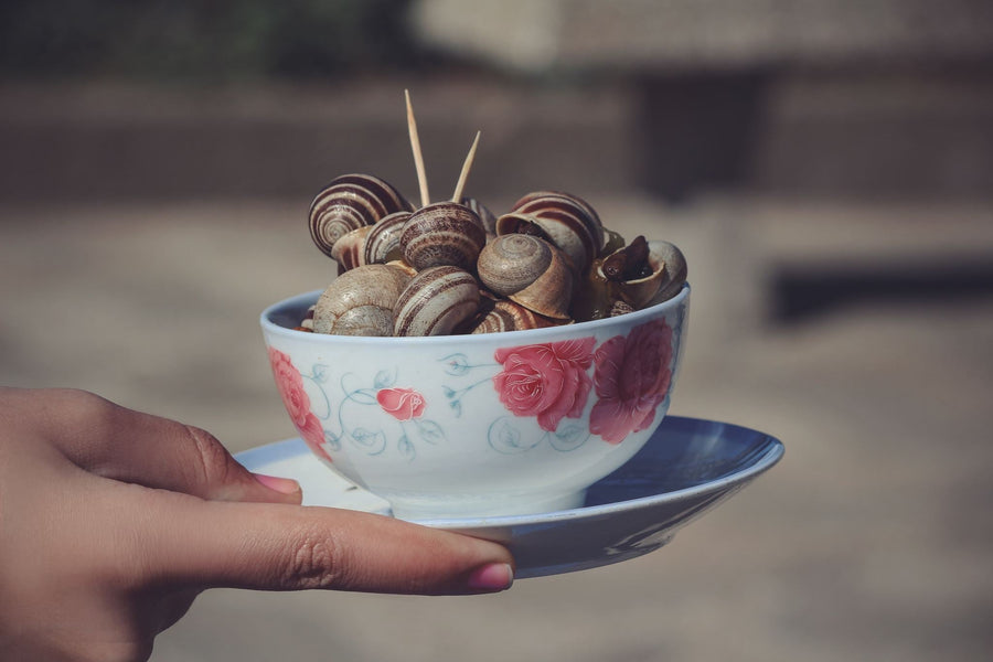 Ghoulal - Savoring Moroccan Snails Soup with Tradition