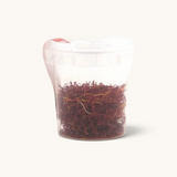 Tuyya_Organic_Pure_Saffron_Bottle_from_Taliouine_Morocco
