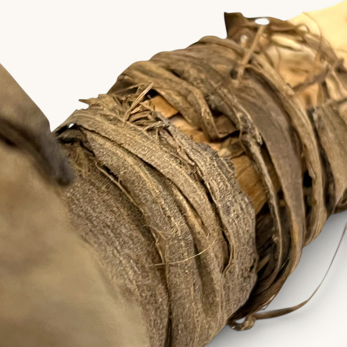 Bâton de Siwak en écorce de noyer naturel tuyya pour une hygiène bucco-dentaire traditionnelle et écologique