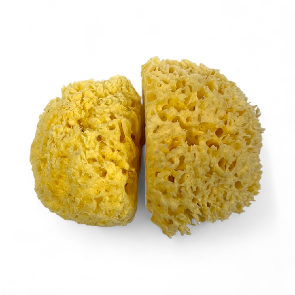 Natural Organic Sea Sponge