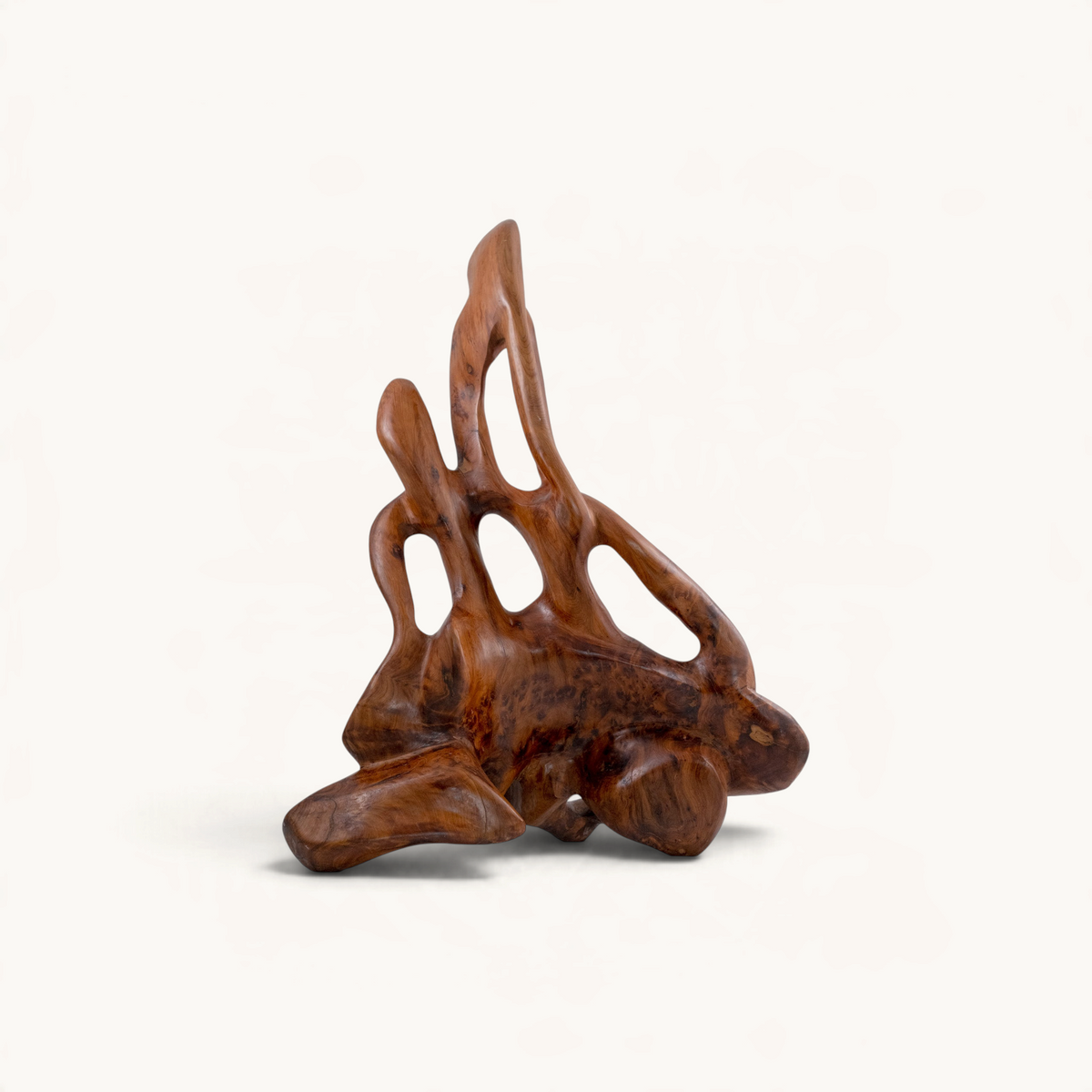 Sculpture en racine de thuya TUYYA aux formes organiques et grain naturel, objet décoratif artisanal marocain.