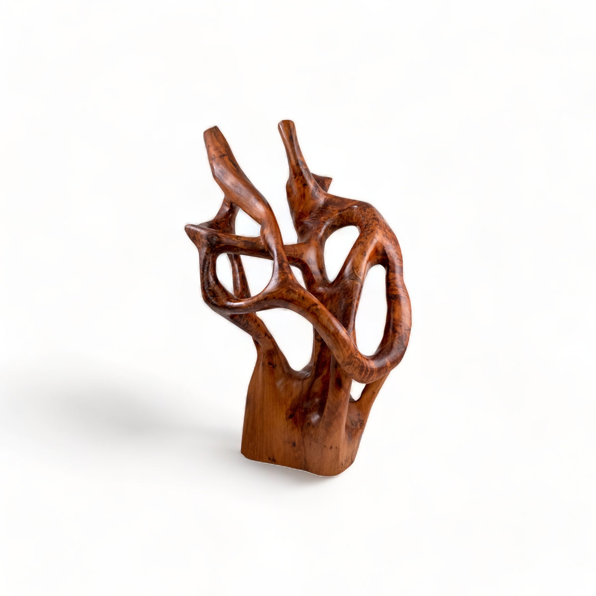 Thuya Root Sculpture B