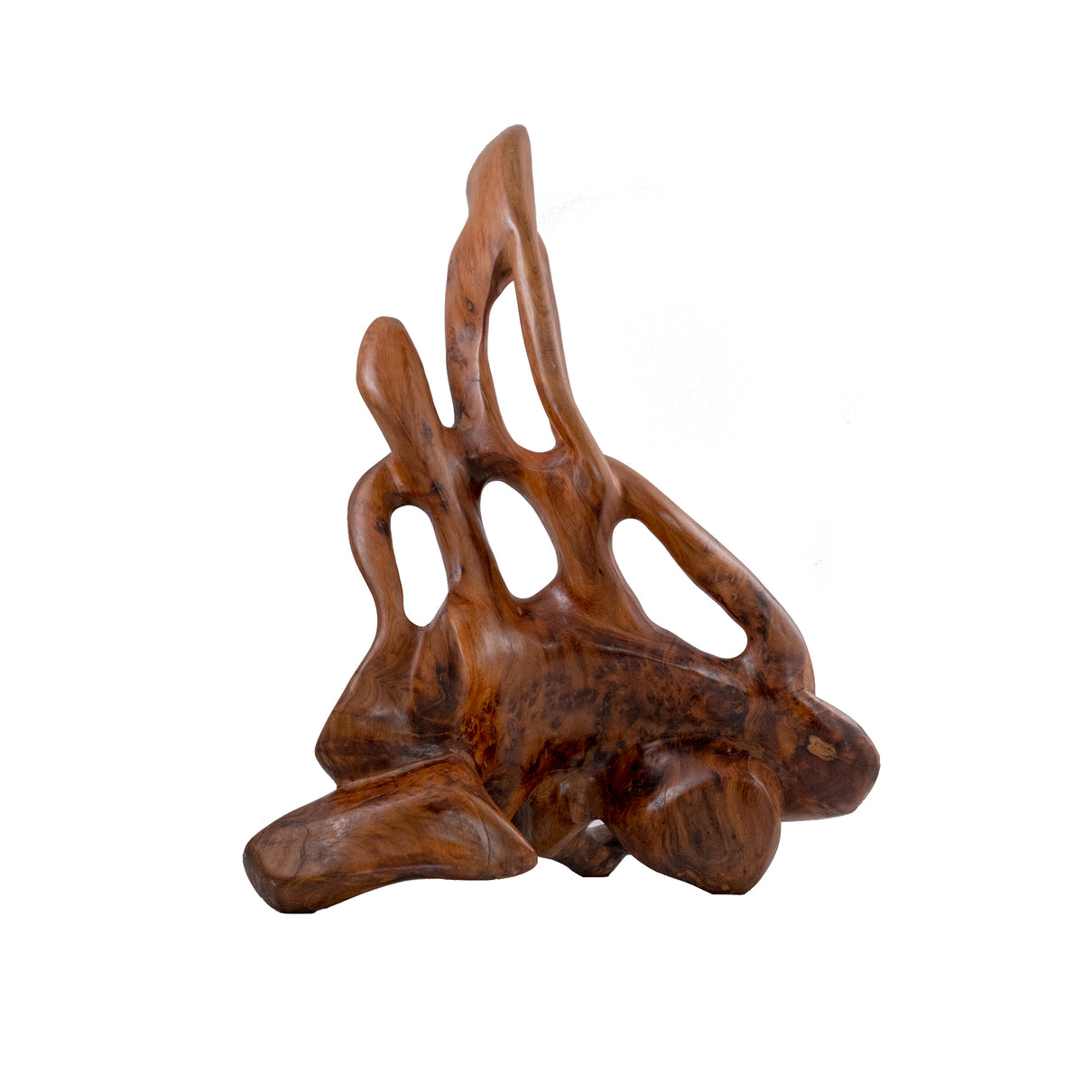 Thuya root sculpture
